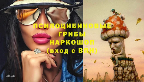 ECSTASY Медвежьегорск