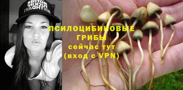 соль курить ск Медногорск
